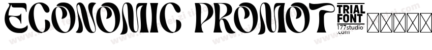 ECONOMIC PROMOT字体转换
